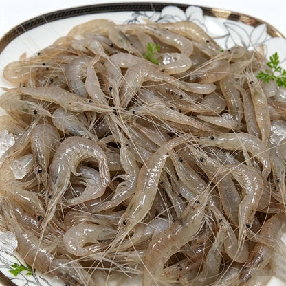 Frozen Small Fresh River Shrimp
