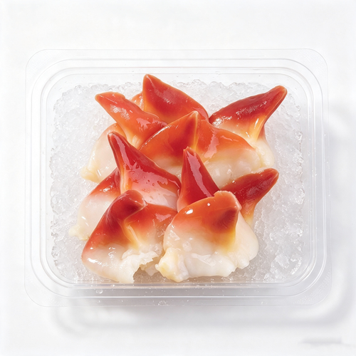 Frozen Surf-Clam Slices